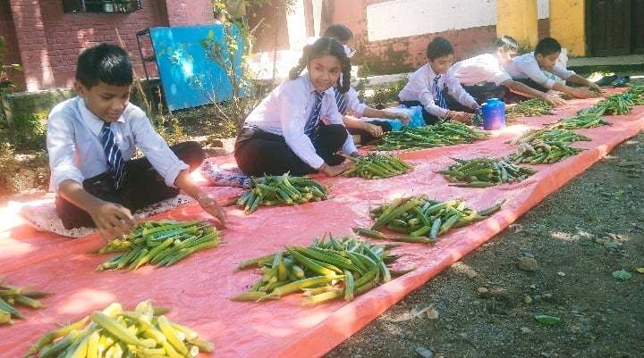 पढ्दै कमाउँदै कार्यक्रम : कावासोतीको शिव मा.विका विद्यार्थीले फलाए तरकारी