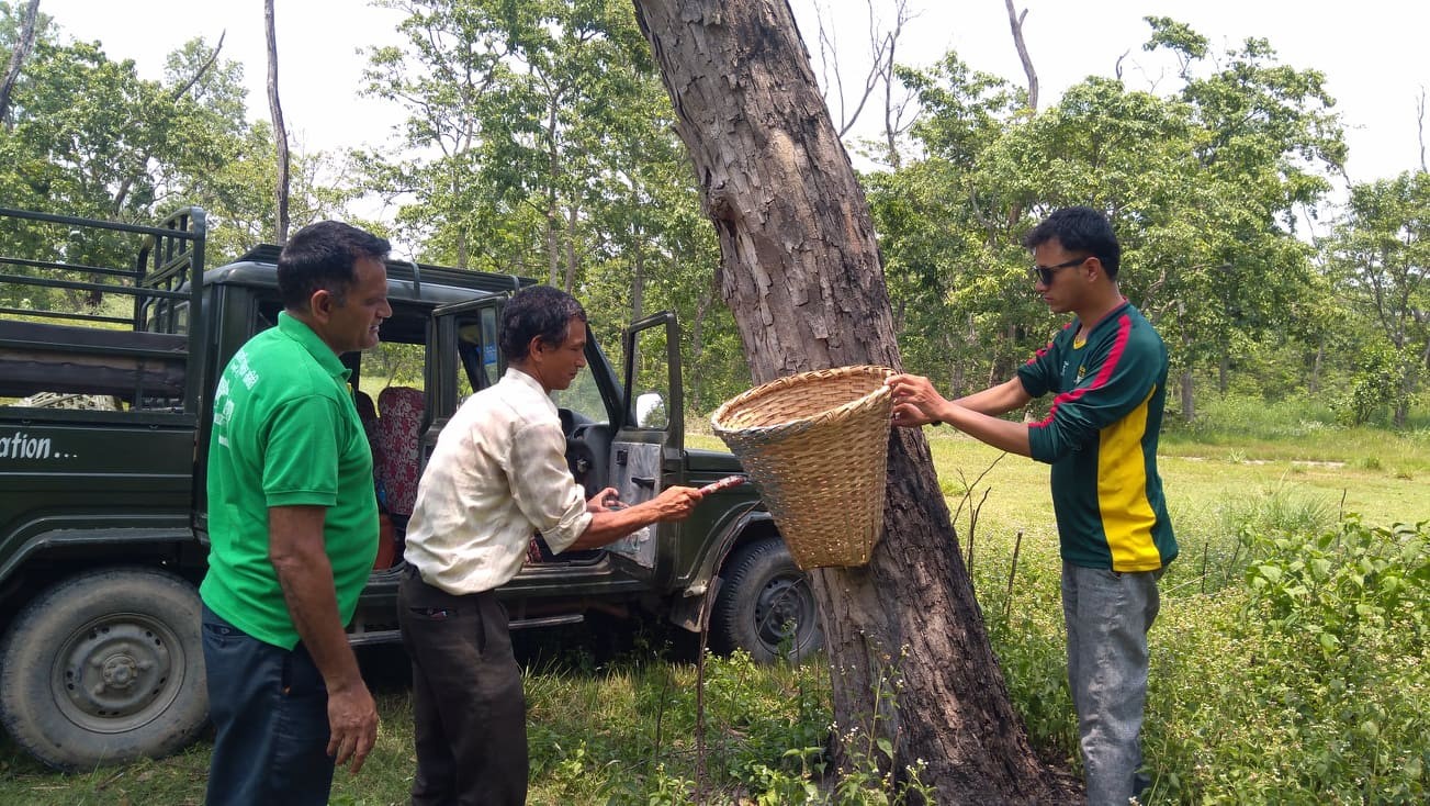 शिसवार करिडाेरमा फाेहर संकलनका लागि डाेकाेको प्रयोग