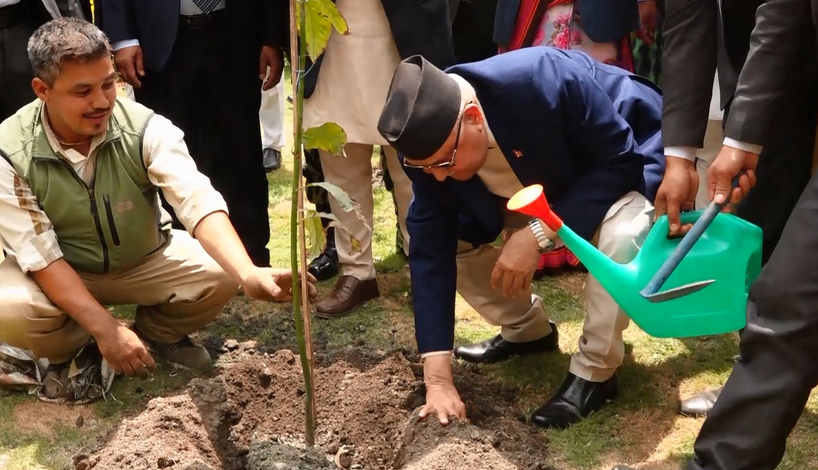 प्रधानमन्त्री ओलीले विरुवा रोपेर सुरु गरे विरुवा रोपण अभियान