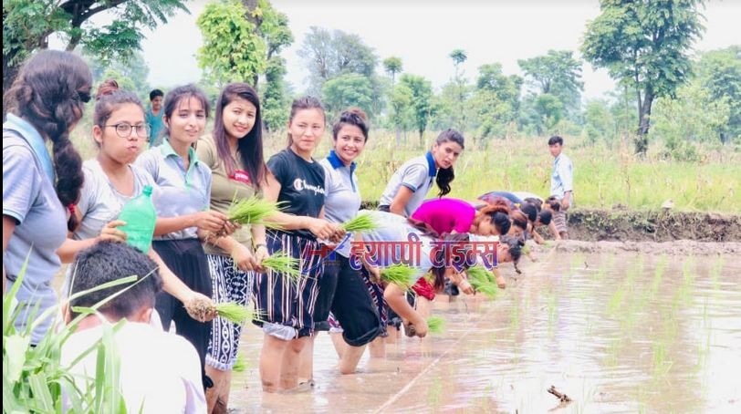 पृथ्वी माध्यमिक विद्यालय र विश्वज्योति वोडीङ स्कुलले मनायो राष्ट्रिय धान दिवस