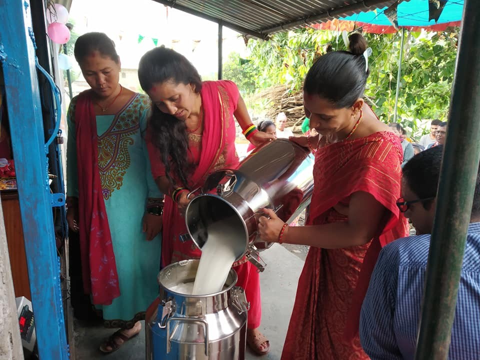 सकलादेवी सामाजिक उधमी महिलाहरुद्धारा दुध डेरी सञ्चालन