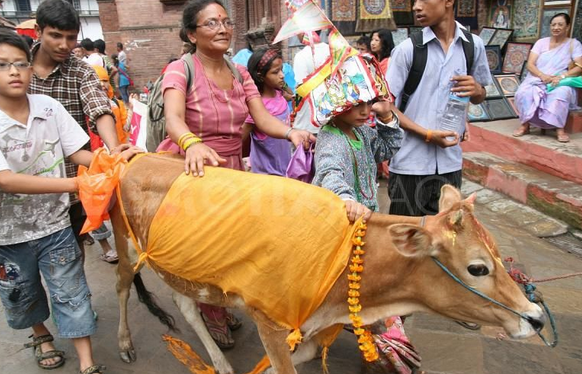 आज गाई जात्राः दिवंगत आफन्तको सम्झना