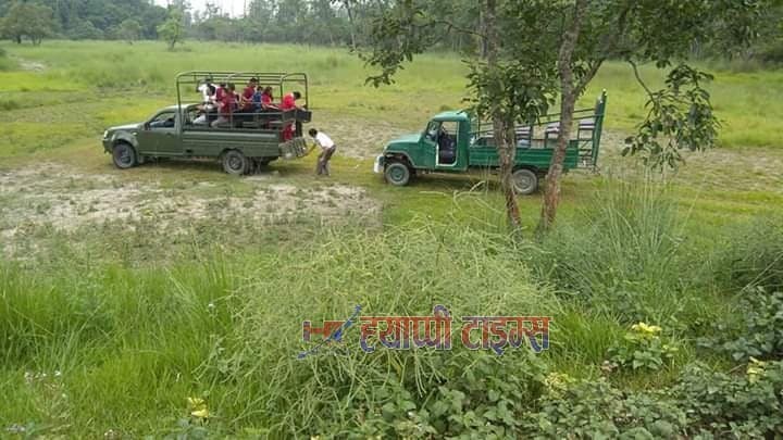 शिसवार करिडोरमा जंगल सफारी आइतबारबाट पुन संचालन