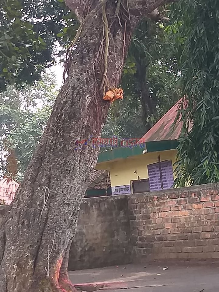 देवचुलीको धारापानीमा फेला परेको शंकास्पद बस्तु, बम नभएको पुष्टी