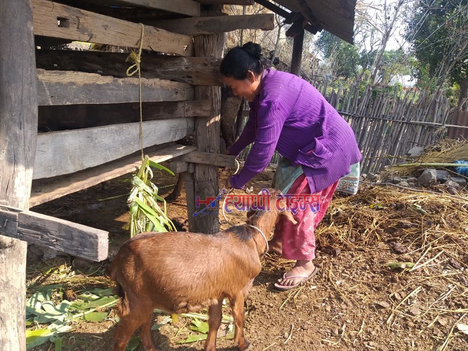 किशोरी शसक्तिकरणसँगै सामाजिक उत्तरदायित्व बहन गर्दै जागृति