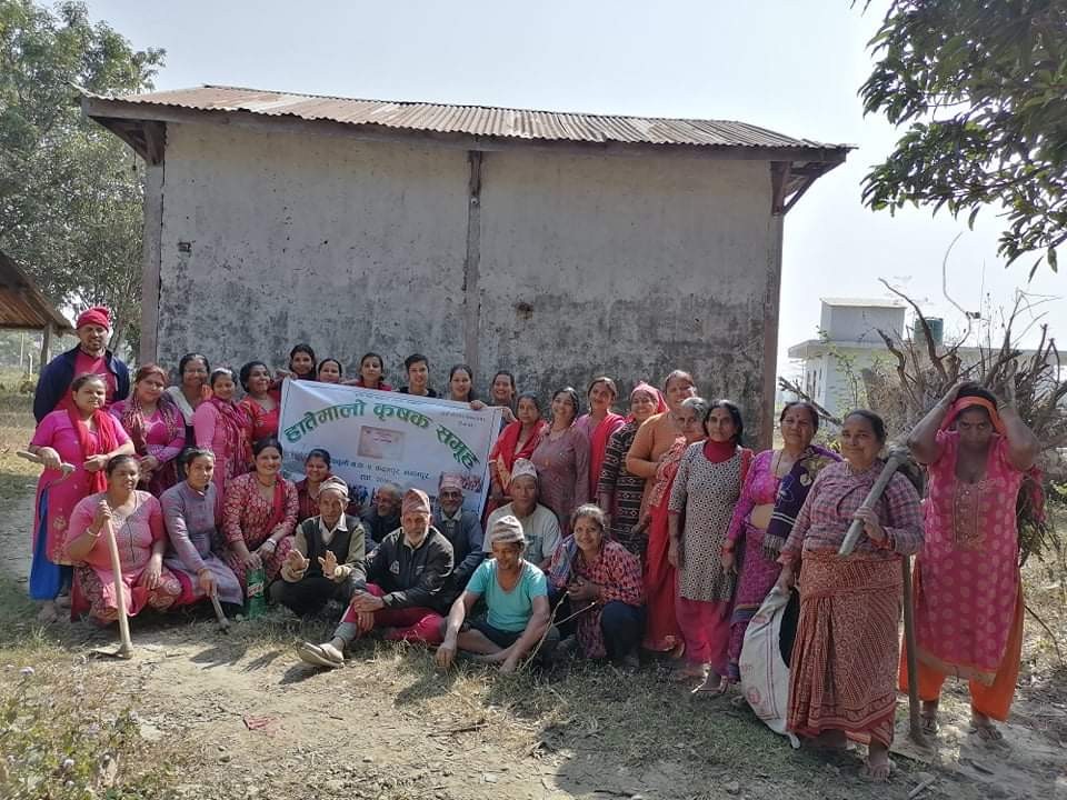 हातेमालाे कृषक समूहद्वारा शिव मन्दिर सरसफाई