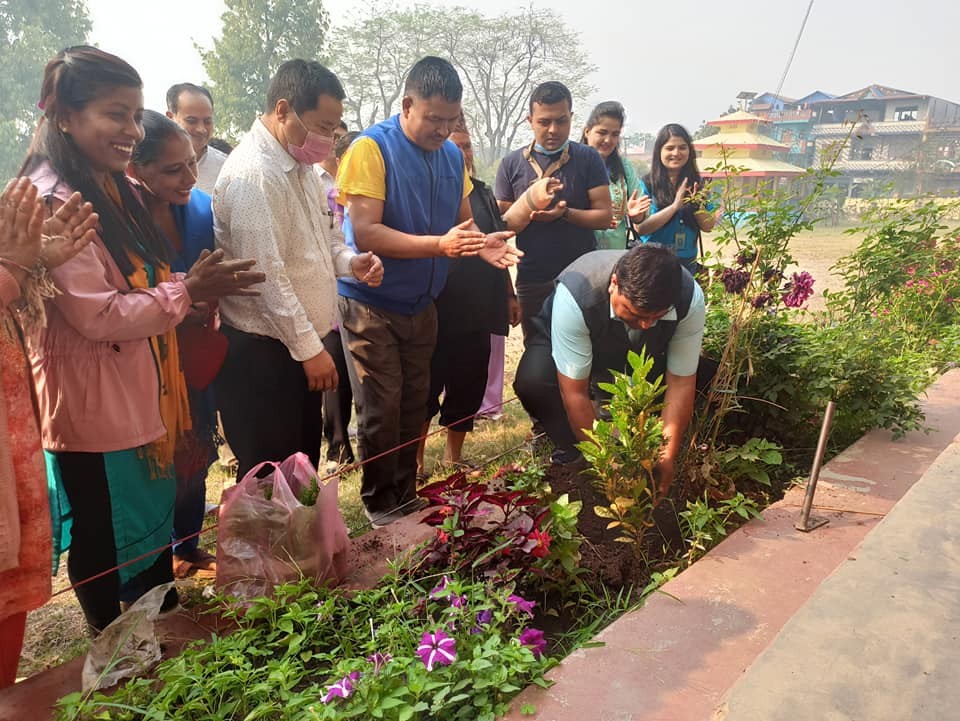 भीमसेन आदर्श मा.विमा 'वृक्षारोपण कार्यक्रम' सम्पन्न