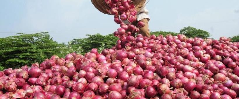 बजारमा छ्यापछ्याप्ती कालोबजारीको प्याज, मनोमानी मूल्यमा बेच्दै व्यापारी