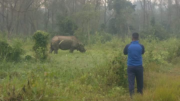 गैंडाको आक्रमणबाट दुई जना घाइते