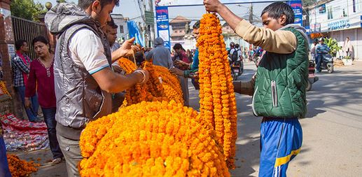 तिहारमा २४ करोड मूल्य बराबर फूलको कारोबार