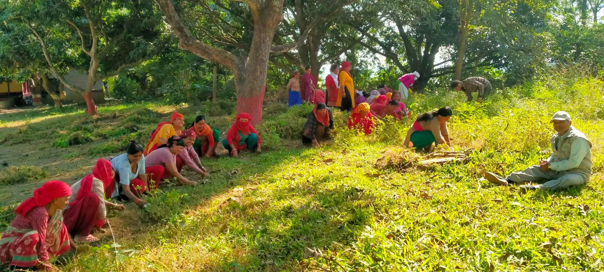 महायज्ञका लागि पशुपति वैदिक आश्रमको परिसर सरसफाई