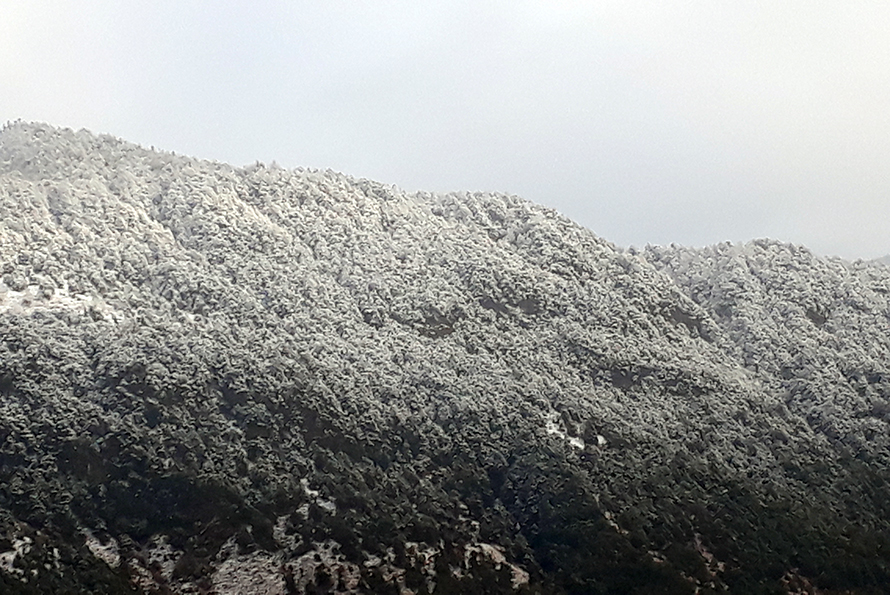 तराईमा कुहिरो र हुस्सु, उच्च पहाडी र हिमाली भू-भागमा हिमपातको सम्भावना