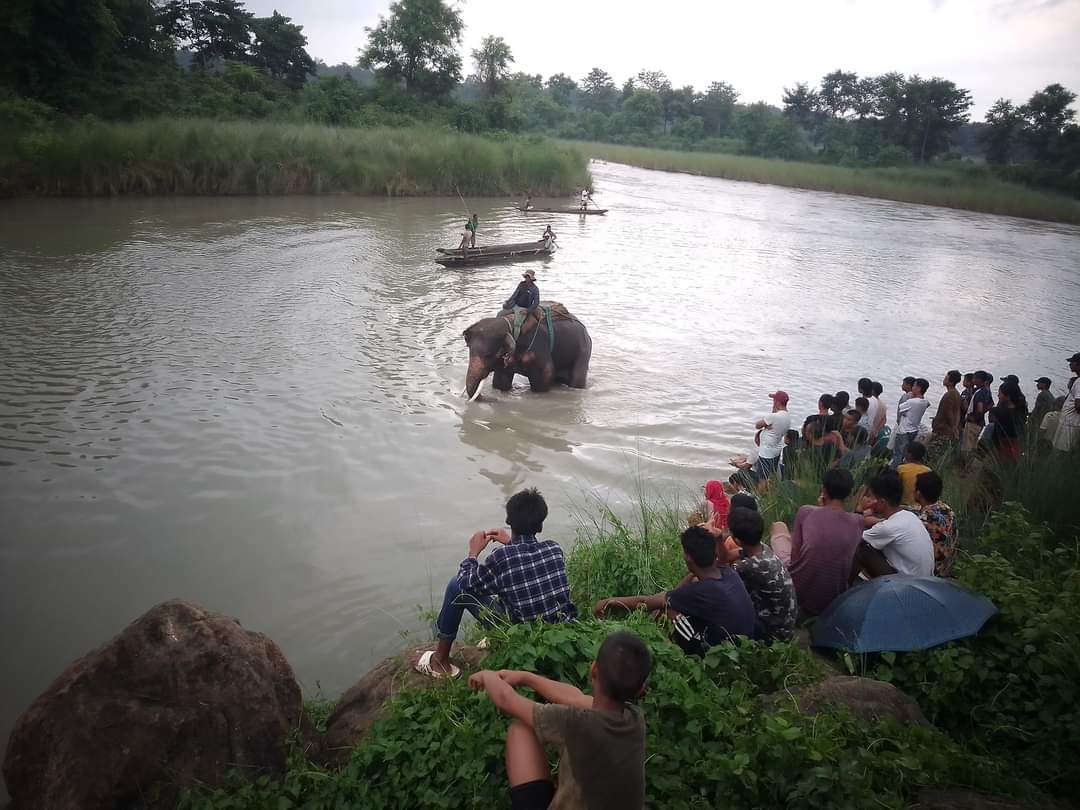 नारायणीमा माछा मार्न गएका देवचुलीका युवक डुबेर बेपत्ता